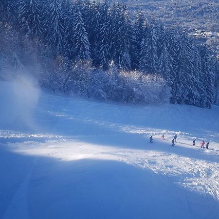 Les Frahans Samoëns Esterno foto